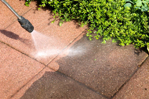 Professional Pressure Washing in Fort Myers Shores, FL